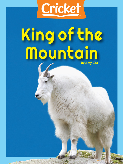 Title details for King of the Mountain by Amy Tao - Wait list